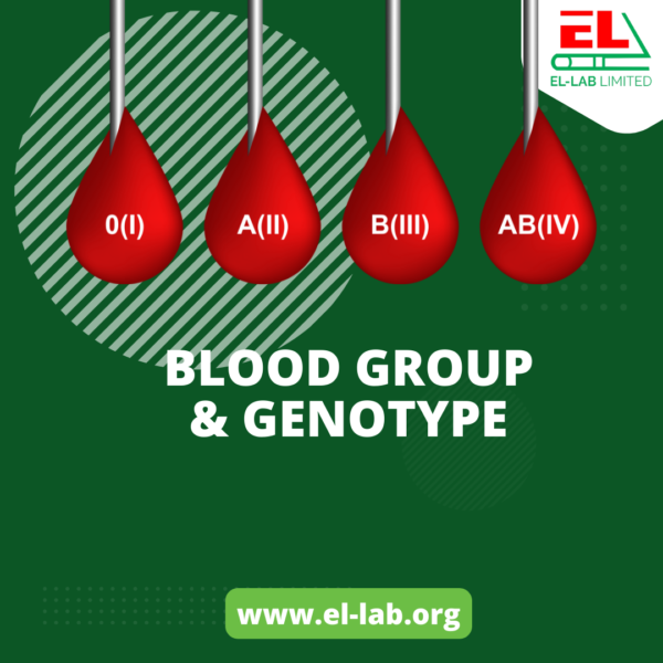 El Lab BLOOD GROUP GENOTYPE | El-Lab Best Medical Diagnostics and Research Center In Lagos