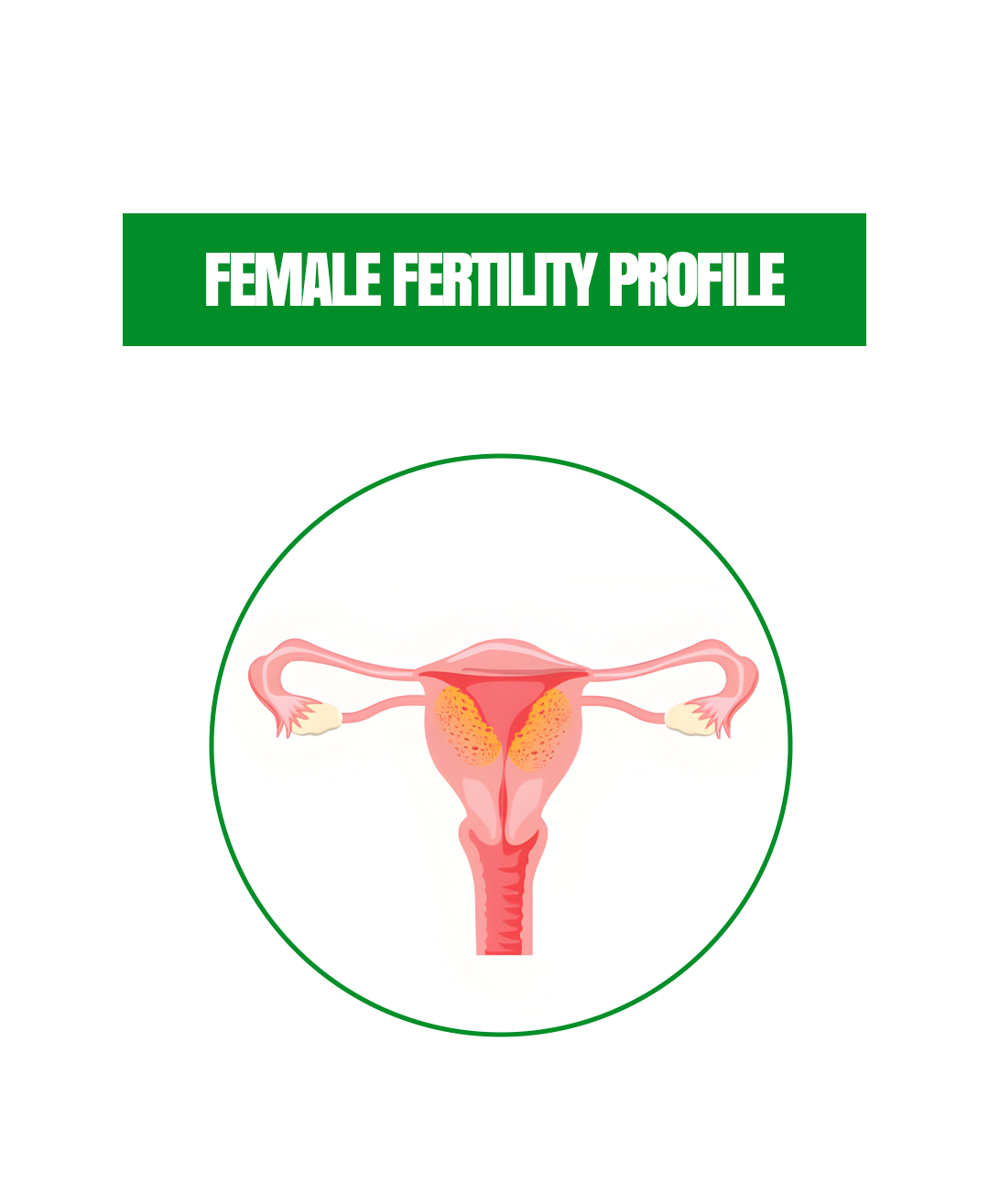 FEMALE FERTILITY PROFILE (1)