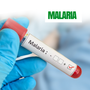 Malaria