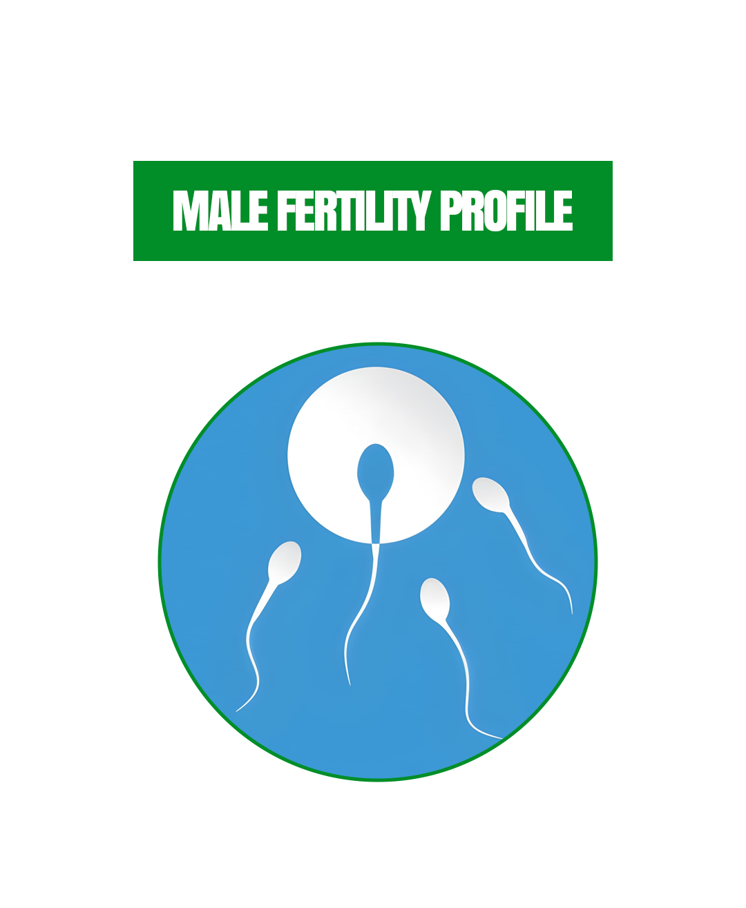 MALE FERTILITY PROFILE copy